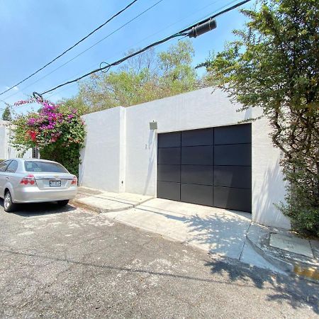 Casa Bonsai Bed & Breakfast Mexico City Exterior photo
